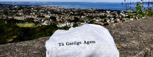 Tá Gaeilge Agam Liath/Grey