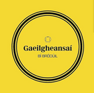 Gaeilgheansaí